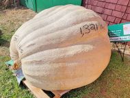1321 Muis'22 NEW