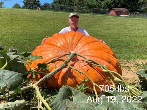 705 Fields'22 NEW