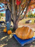 832 Chris Ansems'25 NEW