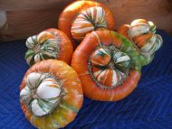 OV Squash Turks Turban